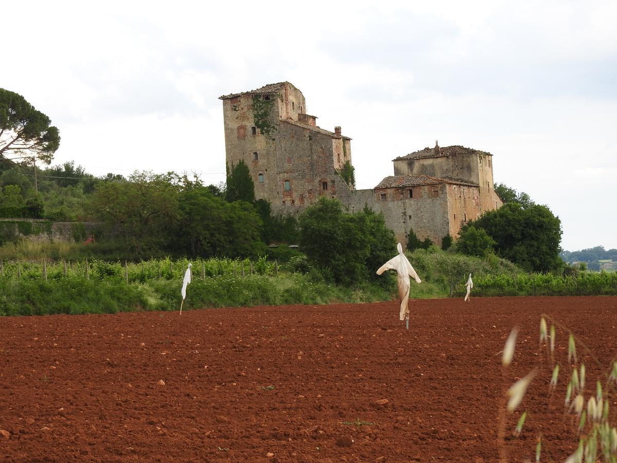 Relais Borgo Di Toiano Guest House โซวิชิลเล ภายนอก รูปภาพ